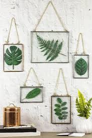 Framed Plants The Most Popular Dorm Room Trends According To Pinterest Photos Framed Plants Diy Wall Decor Pressed Flowers
