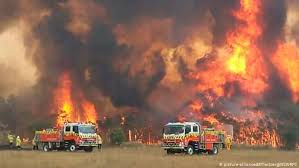 It's a scientific projection of australia under 3℃ of global. Australia Bushfires Parliament Honors Victims And Firefighters News Dw 04 02 2020