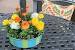 Patio Table Umbrella Centerpiece