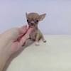 A place for really cute pictures and videos!. 1