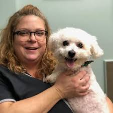 Veterinary Staff in Melrose, MA
