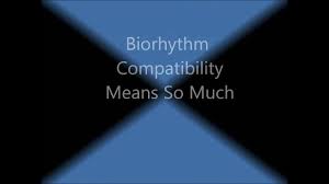 Biorhythms Chart Youtube