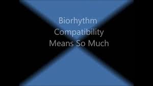 biorhythms chart youtube