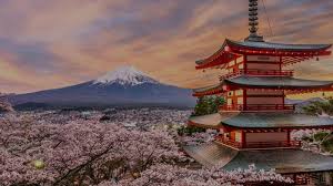 Japan Travel Guide | Things to Do & Places to Visit | escape.com.au