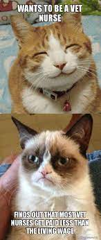 Wants To Be A Vet Nurse Finds Out That Most Vet Nurses Get Paid Less Than The Living Wage Grumpy Cat Vs Happy Cat Make A Meme