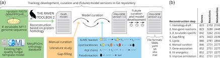 What is a plp file? Genome Scale Model Of Rhodotorula Toruloides Metabolism Tiukova 2019 Biotechnology And Bioengineering Wiley Online Library
