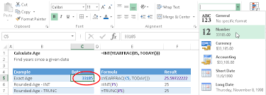 Once the formula has been applied, it will be displayed as follows. How To Calculate Age In Excel Automate Excel