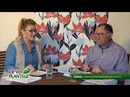 Toly druga vorbeste moldova ce nu a facut hai sa fecem noi oamenii de rind sa il ajutam cu ce putem! Ce Vor Plantele Cristina Ghibu 2020 03 30 Partea1 Youtube