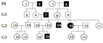 Can Someone Help Me With This Pedigree Analysis Biology
