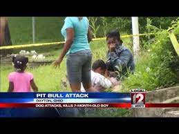 Baby Attacked Killed By Dog Youtube