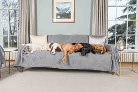 Whether it's a chilly winter night or a lazy fall afternoon, sofa throws turn your living room into a cozy den. Press Loft Love Your Dog Love Your Home