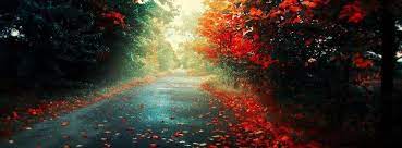 Voir plus d'idées sur le thème couverture facebook, photos, photo de couverture. Couleur D Automne Photo De Couverture Facebook Photo De Couverture Facebook Photo De Couverture Paysage Automne