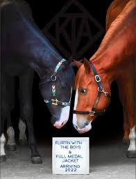 20614 silverfrost #00033 resin clydesdale horse of a different color figurine. Horse Of A Different Color Photography Photos Facebook