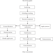 1 Simplified Process Flowchart For Cloudy And Clear Apple