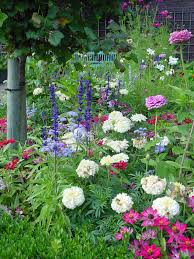 We did not find results for: Cottage Garten Gartenzauber