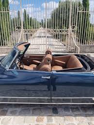 Image result for French Cobalt 1967 Daihatsu