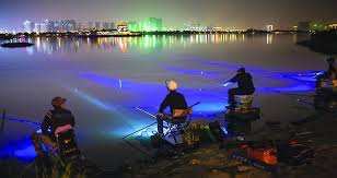 Light Up Led Fishing Lights Fishing Lights Lights Underwater Fish