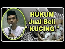 Pasti ramai terkejut, tapi ramai di kalangan masyarakat islam tidak mengetahui bahawa hukum jual beli kucing adalah haram. Hukum Jual Beli Kucing Ustadz Abdul Somad Lc Ma Youtube