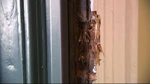 We did not find results for: Antique Door Thefts In Philadelphia Cause Concerns For Home Property Owners 6abc Philadelphia