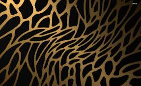 We did not find results for: 45 Cheetah Print Wallpaper For Desktop On Wallpapersafari