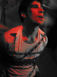 Rattus Rattus (Short 2007)