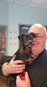 Clive, sad but Buzzy and Moose are gone. We need to recruit. Where is  Rudinsky? Pez