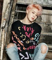 🌻 방탄소년단 박지민 bts park jimin not impersonating bts/jimin 一active fanpage (not official). Profile And Biodata Of Bts Sunday Korea