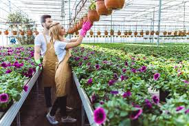 Requirements:diploma or degree in any discipline.good command of bahasa malaysia & english.pleasant personality with the ability to work. The Growing Demand For Skilled Horticulturalists
