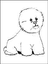 Bichon Frise Coloring Page Coloring Pages