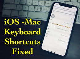 Ios 14 Keyboard Shortcuts Not Working On Iphone 12 Pro Max 11pro Xr