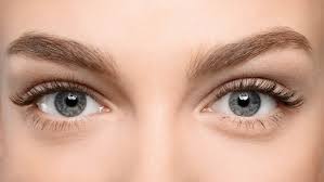 Recognizing and preventing 6 cat eye problems. What Does Blepharoplasty Cost In Australia