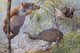 Koala Lemur Sloth Lemur Elephant Bird Peter Schouten Wildlife Artist Prehistoric Wildlife Prehistoric Animals Extinct Animals