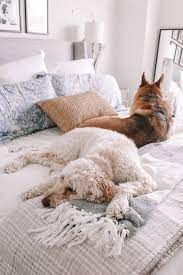 These everyday items are both natural whiteners. All The Dirt On How To Keep White Bedding Clean Courtney Shields