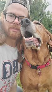 New toys for our 5th foster dog