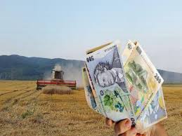 Plăţi în avans apia 2018. Apia A Platit Avansuri Pentru Peste 735 000 De Fermieri