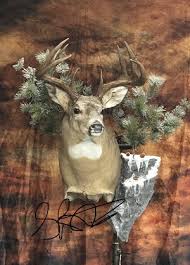 Maybe you would like to learn more about one of these? Shoulder Deer Mounts