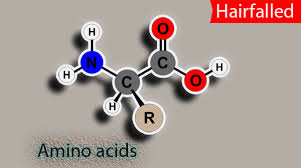 As a precursor to nitrogen oxide, it is of vital importance for hair growth. Amino Acids For Hair Growth Hair Benefits And Side Effect Hair Falled