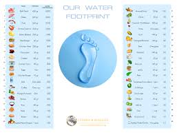 The Water We Eat Future 4 Wildlife