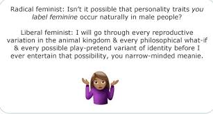 You Narrow Minded Meanie Gets Me Every Time Lol Radical Feminist Radical Feminism Liberal Feminism