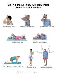 Pin On About Our Body
