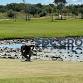 SDC Open 2026 event image