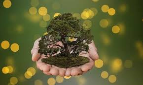 It is celebrated on 28 july to raise awareness about protecting the natural resources and to make people understand the impo. Nature Conservation Is Nation Conservation