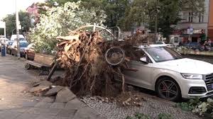 Car Damage Declines Significantly Across Germany, Except in Lower Saxony