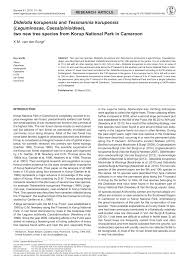 Image result for Englerodendron mengei