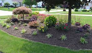 23 Landscaping Ideas With Photos Mike S Backyard Nursery Azaleas Landscaping Front House Landscaping Endless Summer Hydrangea