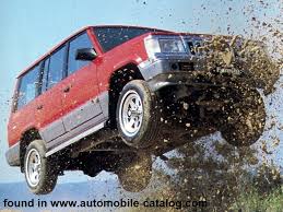 Image result for Kingfisher Green 1991 SsangYong