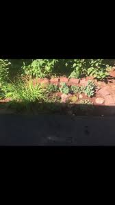 Access advanced analytics and reporting*. Advanced Excavating Paving 166 Granite St Allenstown Nh 03275 Yp Com