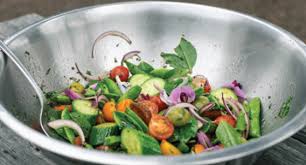 Image result for Spragueanella