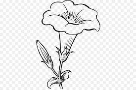 Drawing line art gambar bunga png clipart free cliparts uihere. Gambar Garis Seni Bunga Gambar Png