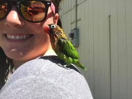 Is Mic Mitter's water dish big enough?